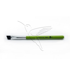 /cameleon/CAMBANG1