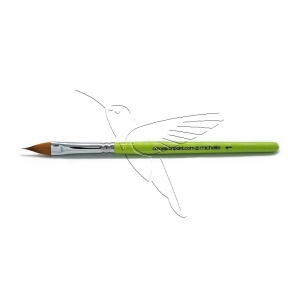 /cameleon/CAMBMICH1