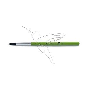 /cameleon/CAMBRSB4